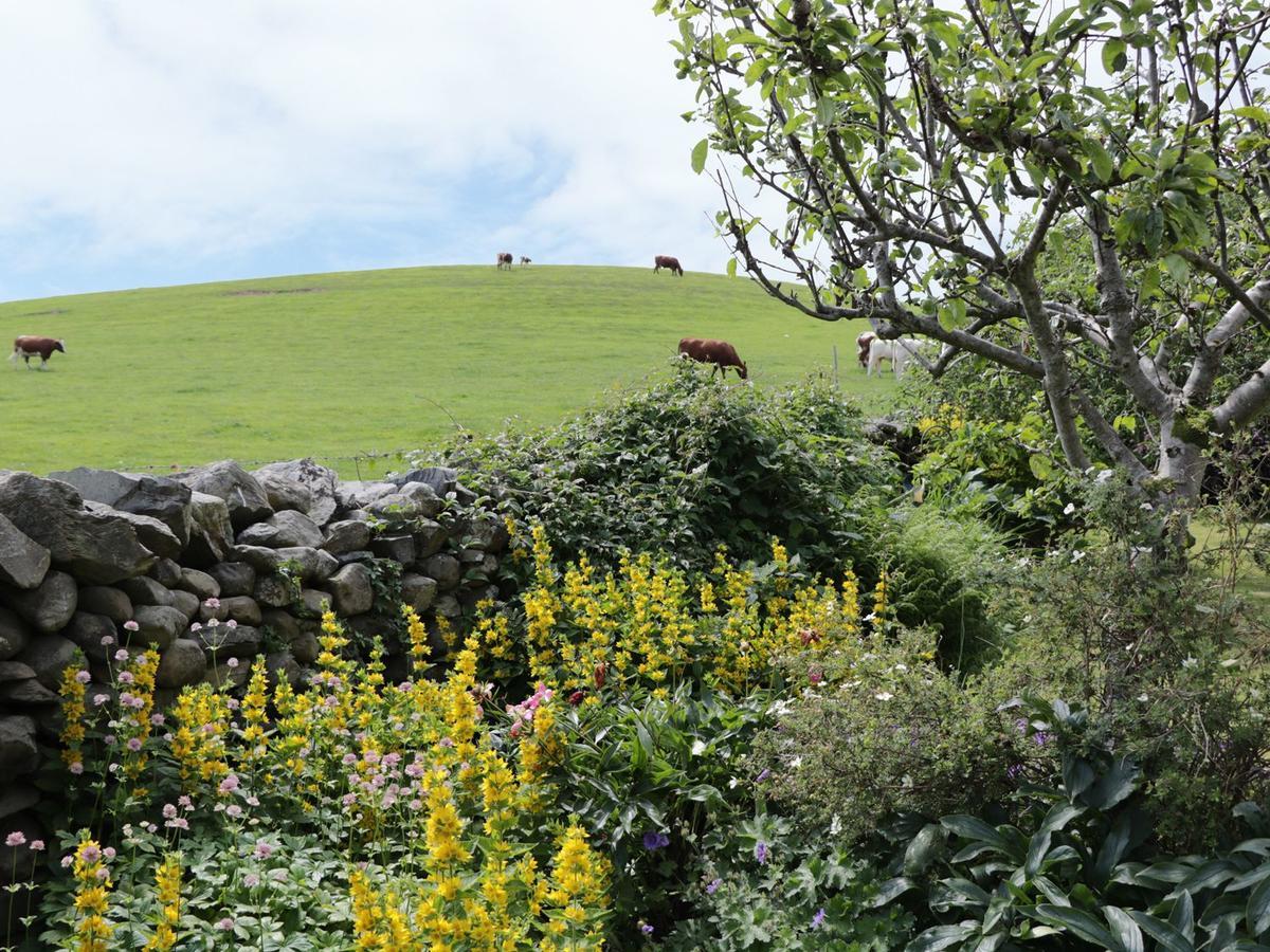 Waingate Cottage Cark Buitenkant foto